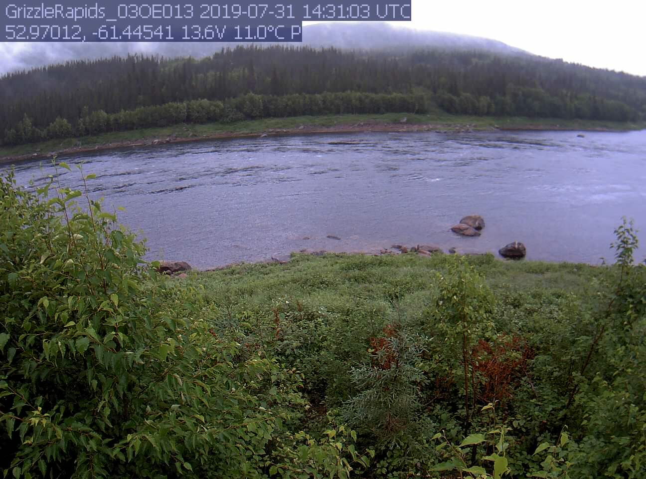 Labrador webcam - Grizzle Rapids webcam, Newfoundland and Labrador, Newfoundland